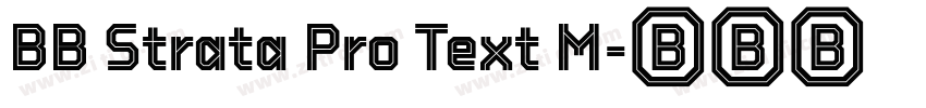 BB Strata Pro Text M字体转换 BB Strata Pro Text M字体转换